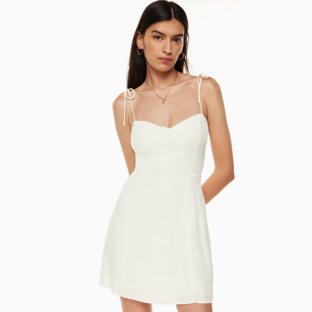 Aritzia Fable Dress